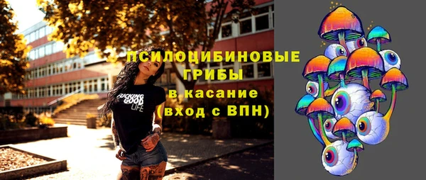 хмурый Алексеевка