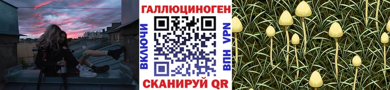 Псилоцибиновые грибы мицелий  Брянск 