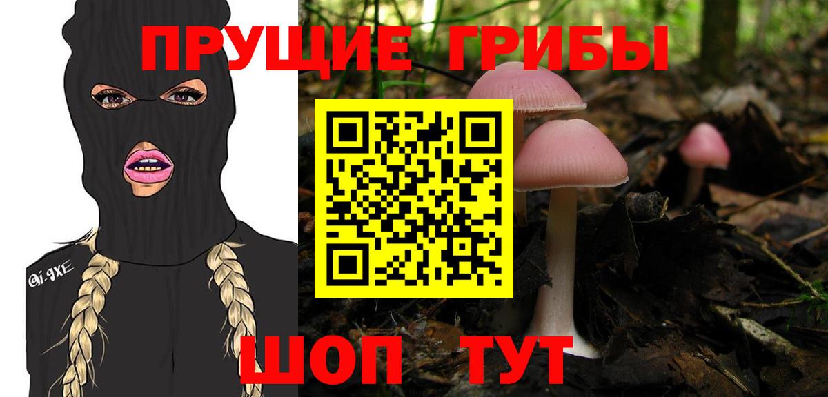 где купить наркотик  Вход с VPN  Брянск  Псилоцибиновые грибы Psilocybe 