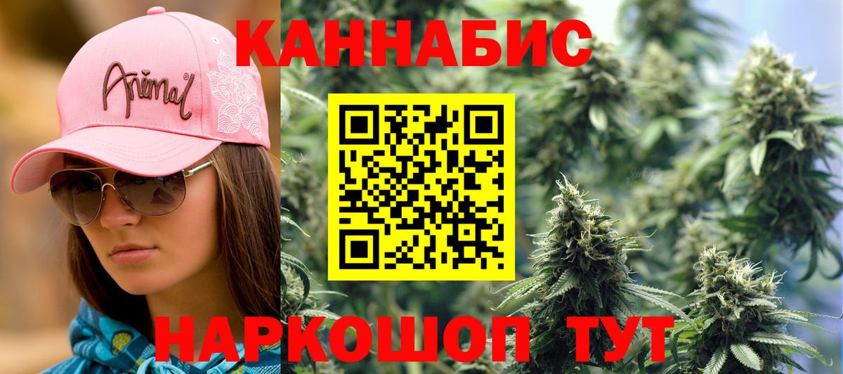 Бошки Шишки сатива  Конопля White Widow  Брянск  Бошки марихуана план  Бошки Шишки Bruce Banner  Вход с VPN 